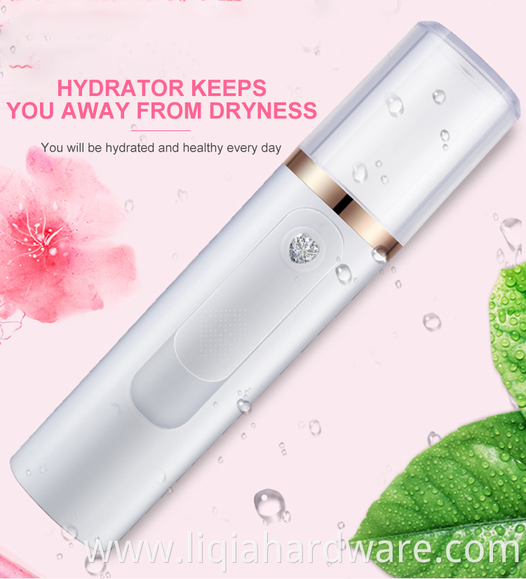 Portable Hydrator Facial Sprayer For Dry Skin